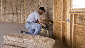 Best Spray Foam Insulation  in Bonanza, GA