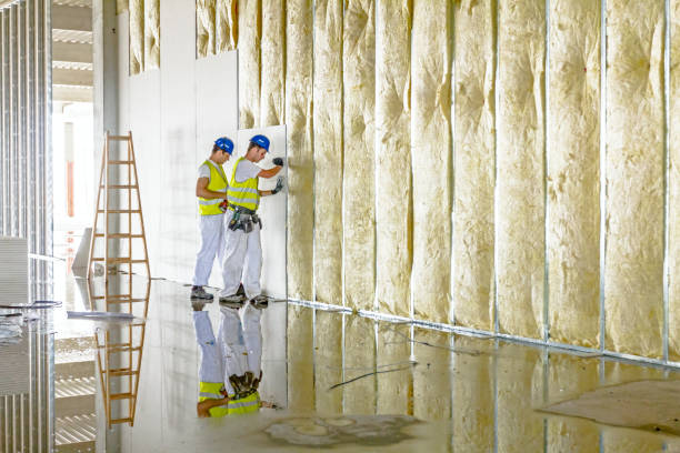 Fireproof Insulation in Bonanza, GA